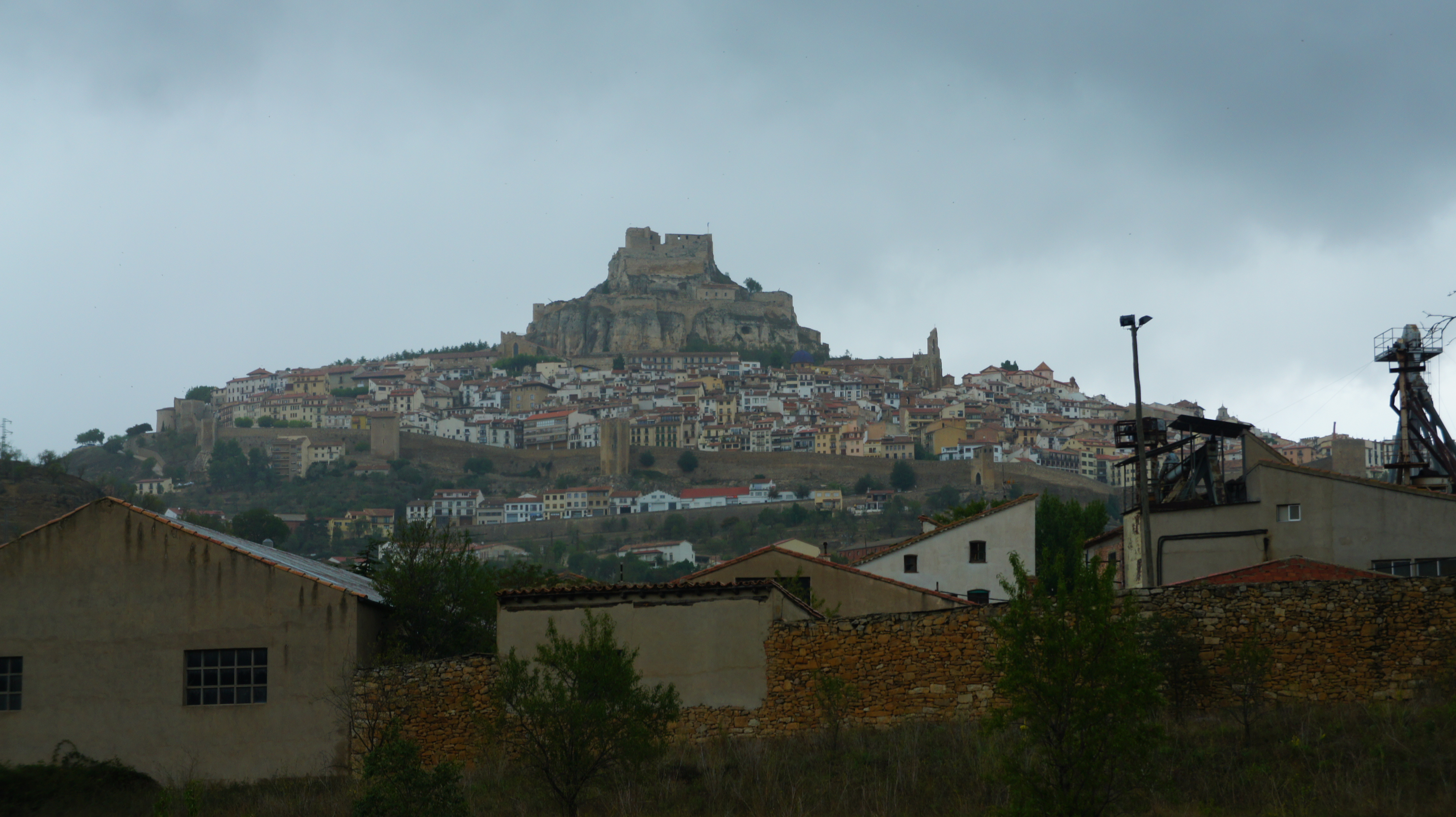 Morella silueta